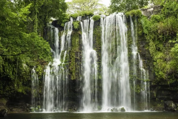 Catarata Uvita Waterfall: Exploring the Majestic Beauty of Costa Rica's Hidden Gem