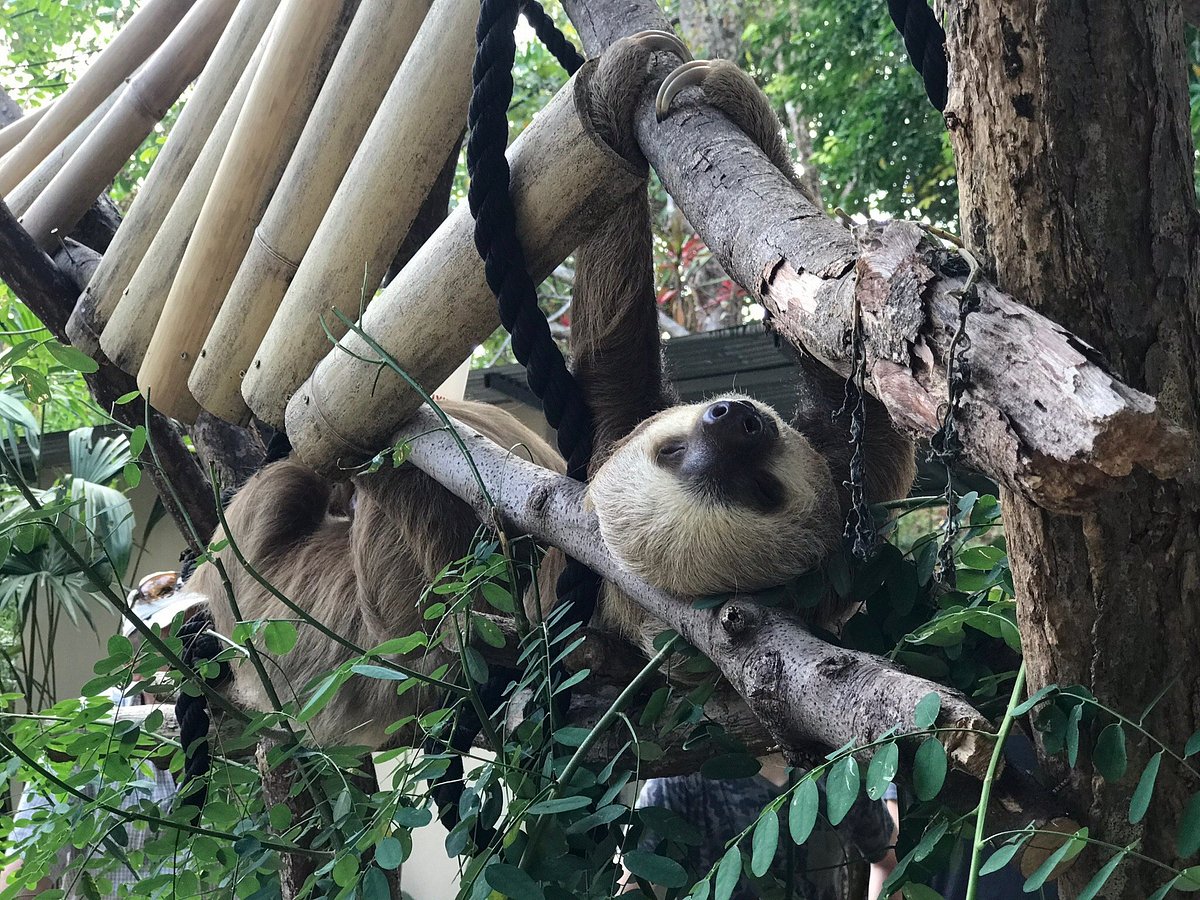 Embrace Nature’s Bounty: Exploring the Wildlife Sanctuary in Uvita, Costa Rica
